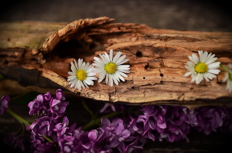 Wooden Wall Art
